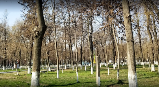 Парк Гульшан - чистый и опрятный