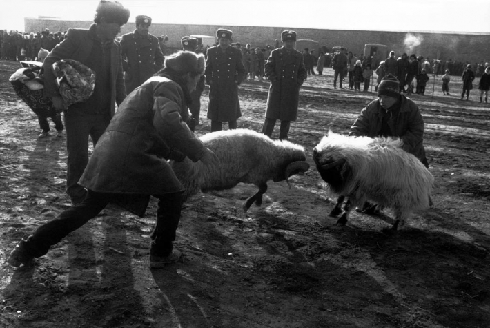 Каракалпакия, возле Муйнака, 1989