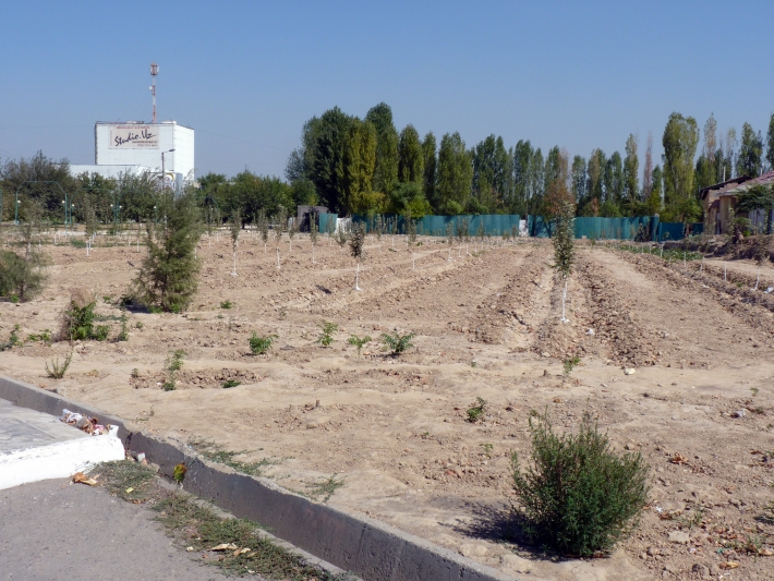 Зеленая зона на месте снесенного рынка Ташсельмаш, 2011 год